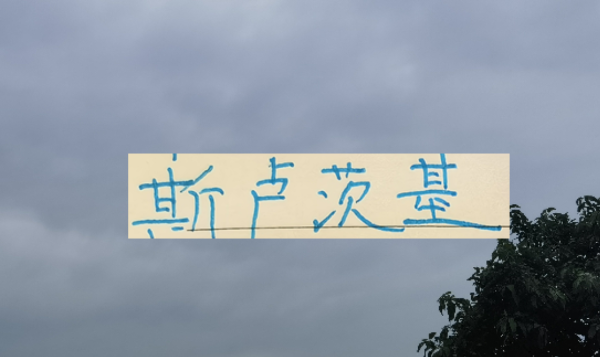 开云体育入口-2026赛季！申花“司机”还会三线全力以赴吗